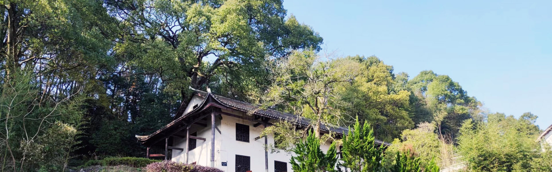 63775dbec5993.jpg 品牌推广.jpg